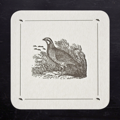 Note Cards: Quail